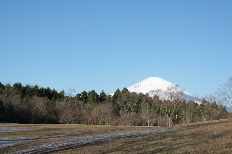 神奈川県側からの富士山