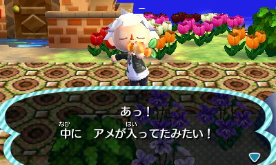 ���ᥲ�å�